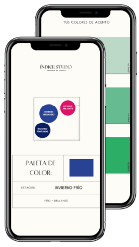 Invierno Frío - Paleta de swatches digitales